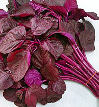 Red Spinach (Lal Shak) / each bunch