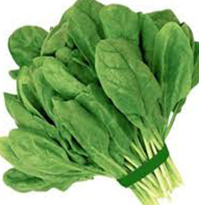 Spinach (Palong Shak) / per bunch