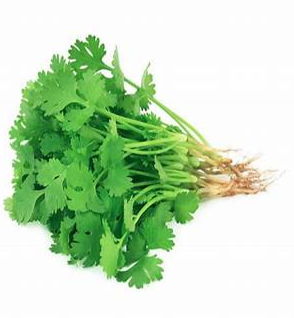 Coriander Leaf (dhone pata) per bunch