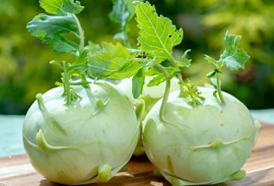 Kohlrabi (shalgom) per kg