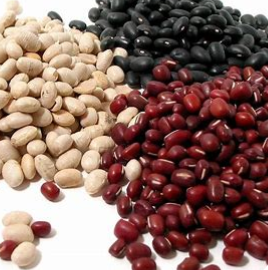 Beans Seed (shimer bichi) per kg