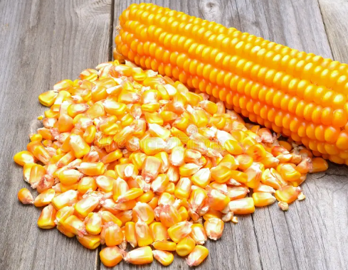 Corn (Bhuttra) per kg