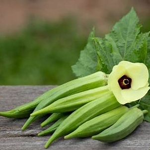 Lady’s Finger (dharosh) per kg