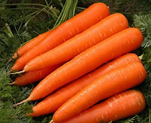 Carrot (gazor) per kg