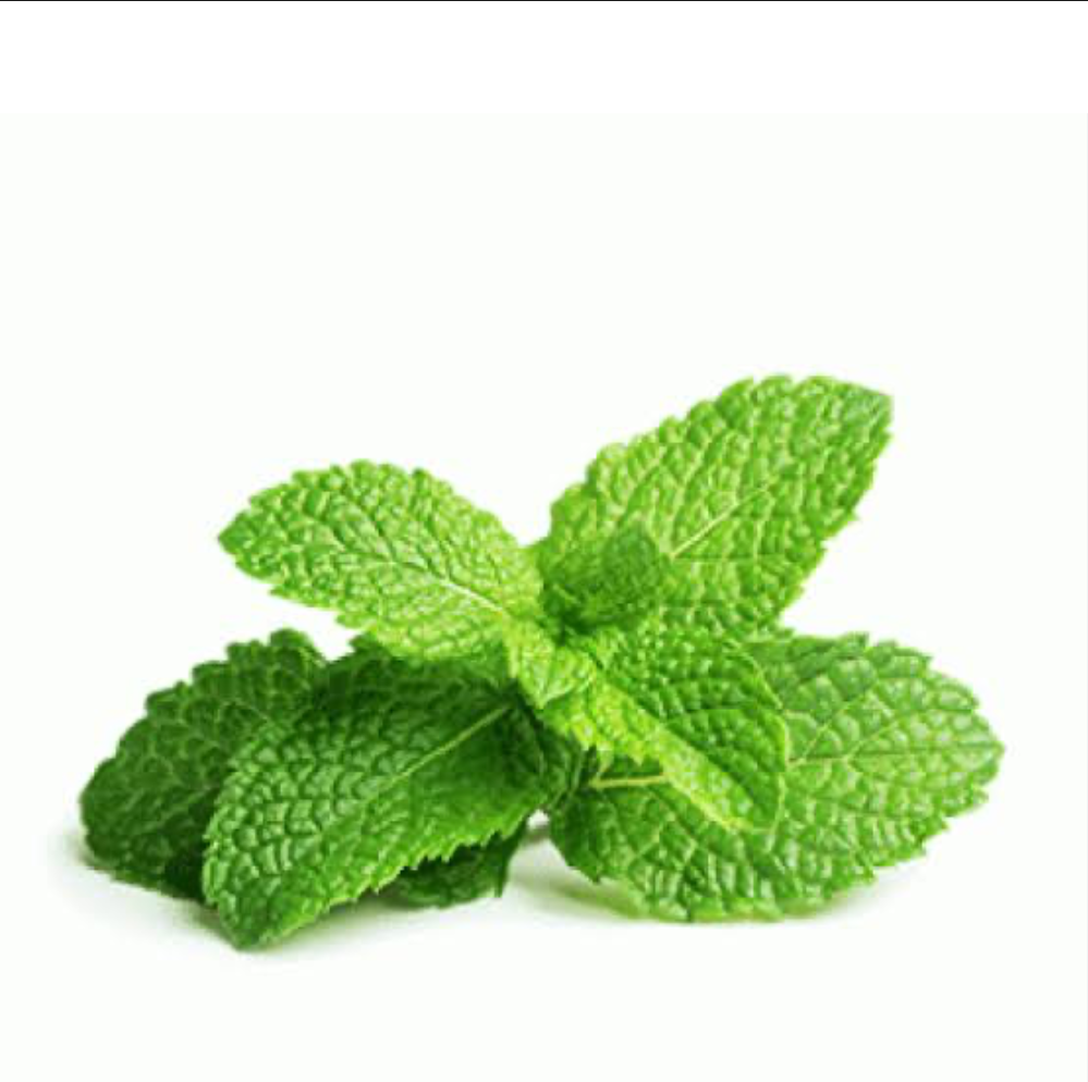 Mint Leaves (pudina pata) per bunch