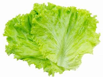 Lettuce Leave per 100gm