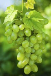 Green Grape (sobuj angur) 250gm