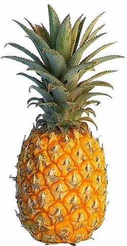 Pineapple Big (boro anarosh) 1pc