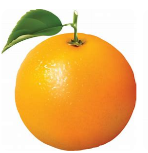 Orange (komola) 1 kg