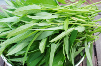 WATER SPINACH 1bunch