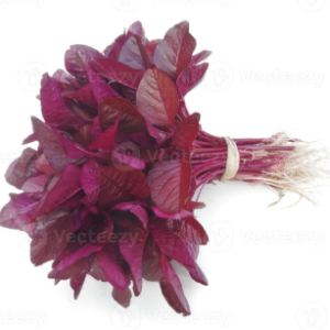RED SPINACH 1bunch