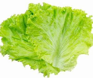 LETTUCE LEAF 1bunch