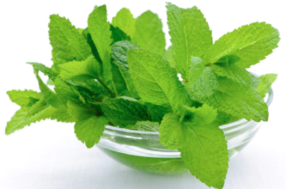 MINT LEAVES 1BUNCH