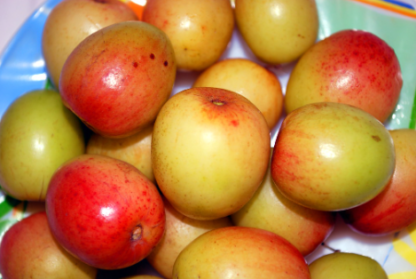 PLUM 1KG