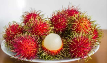 RAMBUTAN 1KG