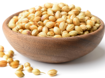 CORIANDER SEED 100GM