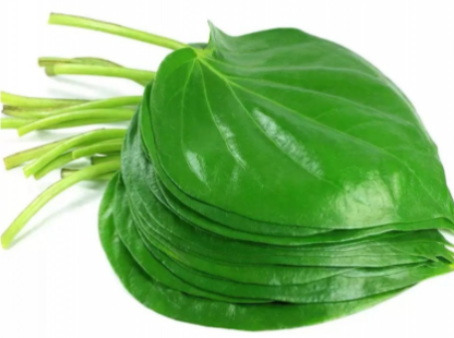 BETEL LEAF 10PCS